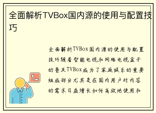 全面解析TVBox国内源的使用与配置技巧